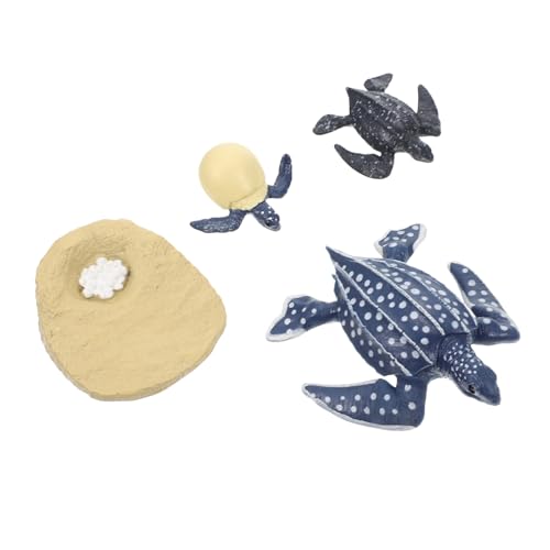 minkissy Lernspielzeug Schildkrötenmodell mit Realistischen Lederschildkröten Figuren Lebenszyklus Simulation Pädagogisch für Frühkindliches Lernen und Naturverständnis von minkissy