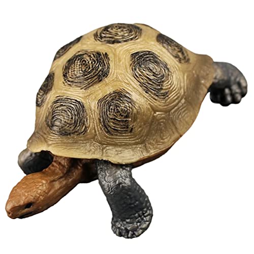 minkissy Plastik Schildkröten Modell Realistische Landschildkröte Figur für Garten Dekoration für Frühkindliche Bildung von minkissy