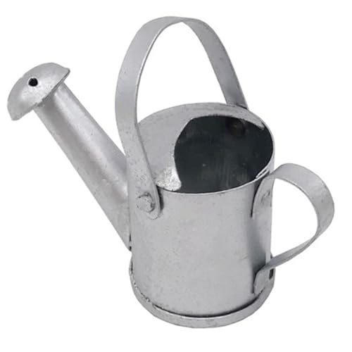 minkissy Puppenhaus Garten Deko Mini Bewässerungskanne für Puppenhaus Micro Landschaft Zubehör Silber von minkissy