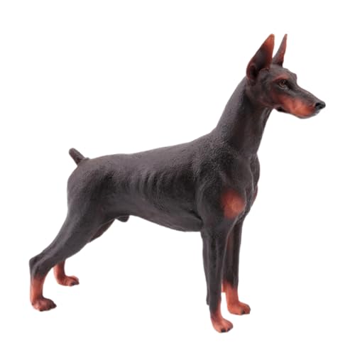 minkissy Realistische Dobermann Hund Figur Detailgetreues Braunes Modell Feine Verarbeitung Dekoratives Haustierspielzeug Geeignet für Büro Zuhause und Auto minkissy Realistische Dobermann Hund Figur Detailgetreues Braunes Modell Feine Verarbeitung Dekoratives Haustierspielzeug Geeignet für Büro Zuhause und Auto von minkissy