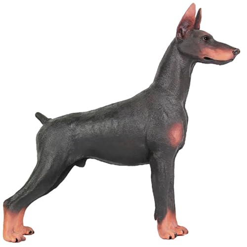 minkissy Dobermann Hund Modell Kinder Spielzeug Realistische Hundefigur aus Robustem Kunststoff für Pädagogische Zwecke Dekoration und Spiel von minkissy