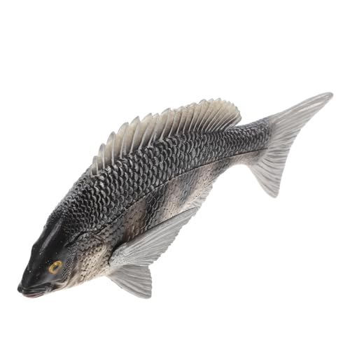 minkissy Realistisches Bream Fischmodell Pädagogisches aus Solidem Kunststoff Farbenfrohes Meerestiere Dekor Leicht und Tragbar für Schule Zuhause und Park Stimuliert Kreativität und minkissy Realistisches Bream Fischmodell Pädagogisches aus Solidem Kunststoff Farbenfrohes Meerestiere Dekor Leicht und Tragbar für Schule Zuhause und Park Stimuliert Kreativität und von minkissy