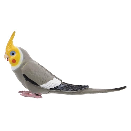 minkissy Realistisches Cockatiel Papageien Modell aus Langlebigem Material Dekorative Vogel Figurine für und Außendekoration für Naturliebhaber und Sammler minkissy Realistisches Cockatiel Papageien Modell aus Langlebigem Material Dekorative Vogel Figurine für und Außendekoration für Naturliebhaber und Sammler von minkissy