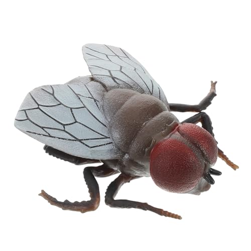 minkissy Realistisches Fliegenmodell Täuschend Echtes Insektenspielzeug für Lernspielzeug für Insekterkennung für Halloween Dekoration und Schreibtisch minkissy Realistisches Fliegenmodell Täuschend Echtes Insektenspielzeug für Lernspielzeug für Insekterkennung für Halloween Dekoration und Schreibtisch von minkissy