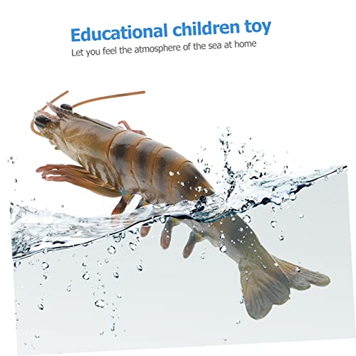 minkissy Realistisches Garnelen aus Langlebigem Kunststoff Pädagogisch Wertvolles Meeresbewohner Figur für Geeignet als Lernspielzeug Party Deko und Detailgetreues Aquarium Accessoire minkissy Realistisches Garnelen aus Langlebigem Kunststoff Pädagogisch Wertvolles Meeresbewohner Figur für Geeignet als Lernspielzeug Party Deko und Detailgetreues Aquarium Accessoire von minkissy
