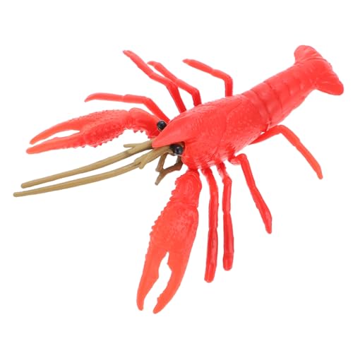 minkissy Realistisches Hummer aus Robustem Kunststoff Kompaktes Lobster Modell Langlebige Meeresdeko für Lernspiele und Kreatives Leicht Tragbar Sicher von minkissy