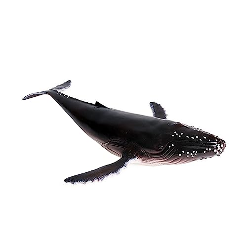 minkissy Realistisches Humpback Wal Modell aus Hochwertigem Kunststoff Lebensechte Meerestier Dekoration und Kinderspielzeug Geeignet für Zuhause Büro und Lernförderung minkissy Realistisches Humpback Wal Modell aus Hochwertigem Kunststoff Lebensechte Meerestier Dekoration und Kinderspielzeug Geeignet für Zuhause Büro und Lernförderung von minkissy