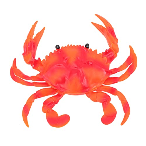 minkissy Realistisches Meereslebewesen Modell Krabbe Quetschspielzeug mit Sound Lernspielzeug Aquarium Deko Restaurant Figur von minkissy