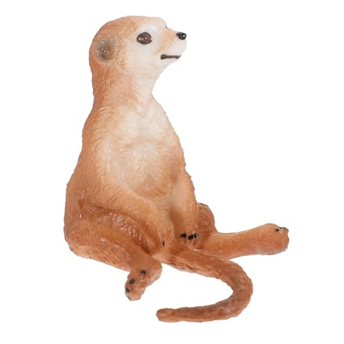 minkissy Realistisches Meerkat Modell Kunststoff Figur Simulation Tiermodell Pädagogisch für Garten und Klassenzimmer Deko Lernspielzeug in Lebensechter Haltung von minkissy