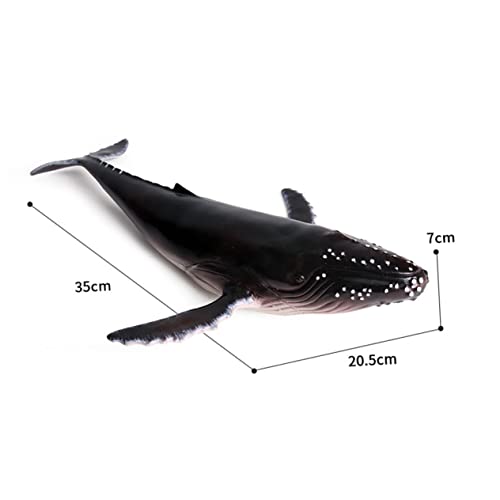minkissy Realistisches Walmodell Humpback Whale Figur aus Hochwertigem Kunststoff Detailgetreu Gestaltet Tierfigur für Dekorativ für Zuhause Büro Geschenkidee minkissy Realistisches Walmodell Humpback Whale Figur aus Hochwertigem Kunststoff Detailgetreu Gestaltet Tierfigur für Dekorativ für Zuhause Büro Geschenkidee von minkissy