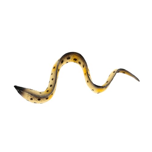 minkissy Seeaal Modell Realistisches Simulation Eines Eels Kognitives Lernspielzeug für Heimdekoration und Garten für Meeresliebhaber und Aquarienfans minkissy Seeaal Modell Realistisches Simulation Eines Eels Kognitives Lernspielzeug für Heimdekoration und Garten für Meeresliebhaber und Aquarienfans von minkissy