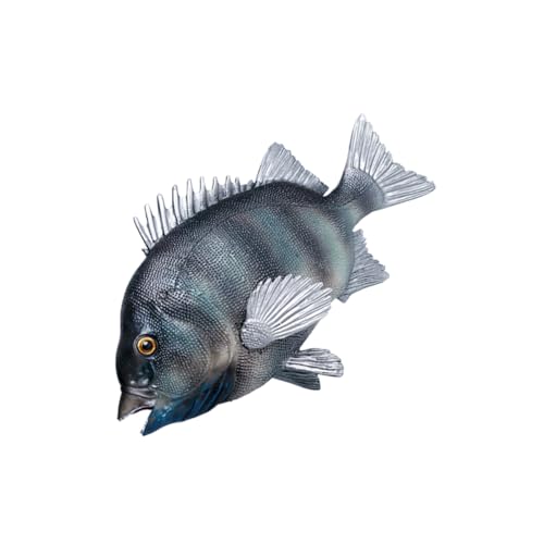 minkissy Simulation Fisch Modell Plastik Figur Dekoration für Lernspielzeug Realistisches Meerestier Kognitive Haltbar und Sicher für Langen Gebrauch minkissy Simulation Fisch Modell Plastik Figur Dekoration für Lernspielzeug Realistisches Meerestier Kognitive Haltbar und Sicher für Langen Gebrauch von minkissy