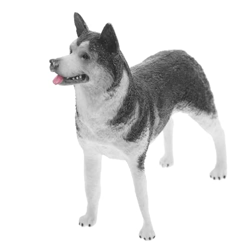 minkissy Simulation Husky Hundemodell Kunststoff Stehende Hundefigur Lernspielzeug Detaillierte Hundefigur für Dekoration und Sammlung Robustes Stehmodell für Schreibtisch und Garten minkissy Simulation Husky Hundemodell Kunststoff Stehende Hundefigur Lernspielzeug Detaillierte Hundefigur für Dekoration und Sammlung Robustes Stehmodell für Schreibtisch und Garten von minkissy