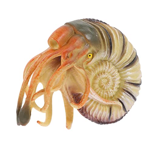 minkissy Simulation Nautilus Modell aus PVC Meereslebewesen Pädagogische Meeresleben Figur für Dekoratives Ornament Kreatives Foto Requisit minkissy Simulation Nautilus Modell aus PVC Meereslebewesen Pädagogische Meeresleben Figur für Dekoratives Ornament Kreatives Foto Requisit von minkissy