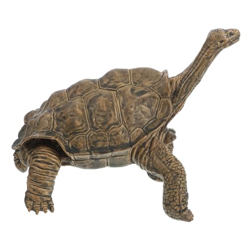 minkissy Simulation Schildkröte Modellfigur Realistisches Schildkröten für Pädagogisches Tiermodell für Fischbehälter und Dekoration Braun minkissy Simulation Schildkröte Modellfigur Realistisches Schildkröten für Pädagogisches Tiermodell für Fischbehälter und Dekoration Braun von minkissy