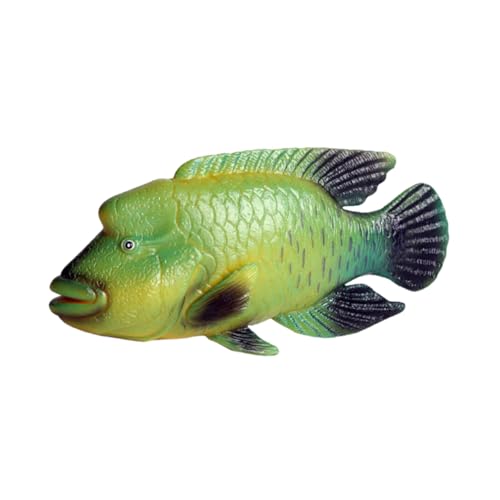 minkissy Simuliertes Sumei Kinderspielzeug Meer Spielzeuge Aquarienfische Modelle Ornament Meerestierverzierung Fisch Spielzeug Schreibtisch schmücken Lippfisch Dekorationen Plastik von minkissy