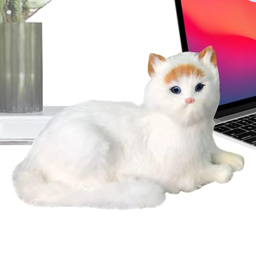 mivceklw Cat Plushy, Soft Kitten Decor, Cat Toys Stuffed Animal, Cat Cartoon Sleeping Pillow, Plush Cat Companions for Boys Girls, Stuffed Animal Cat Plush, Sleeping Cat Plush Pillow mivceklw Cat Plushy, Soft Kitten Decor, Cat Toys Stuffed Animal, Cat Cartoon Sleeping Pillow, Plush Cat Companions for Boys Girls, Stuffed Animal Cat Plush, Sleeping Cat Plush Pillow von mivceklw