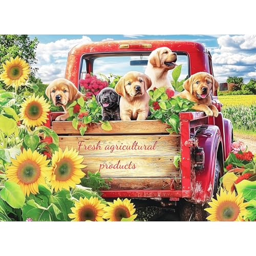 Puzzle für Erwachsene, niedliche Hunde und LKW-Puzzles für Erwachsene, Kinder, Senioren, Bauernhof-Puzzle, herausforderndes 500-teiliges Puzzle für Familie, tolles Geschenk für alle Altersgruppen Puzzle für Erwachsene, niedliche Hunde und LKW-Puzzles für Erwachsene, Kinder, Senioren, Bauernhof-Puzzle, herausforderndes 500-teiliges Puzzle für Familie, tolles Geschenk für alle Altersgruppen von mjyphdm