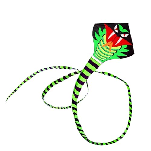 mophrati Schlangen Drachen, lustig, Outdoor, Langer Schwanz, Flugleine, Spielzeug mit Griff, Garten, Camping, Spielzeug für Erwachsene, Sport, guter Hof, Rasen, 11M von mophrati
