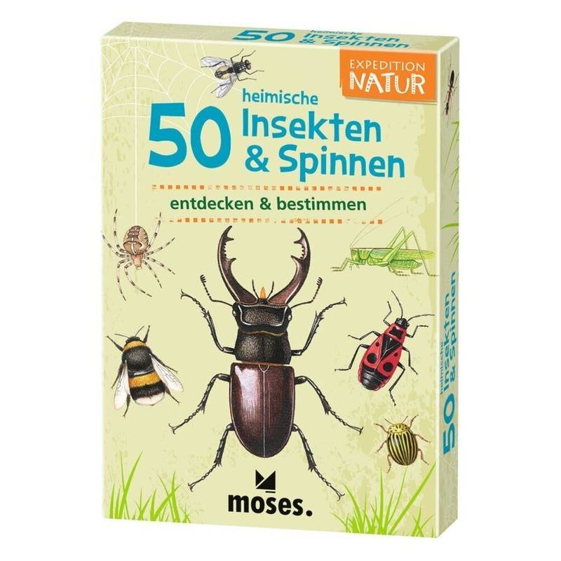 50 heimische Insekten & Spinnen entdecken & bestimmen, 50 Ktn. von moses Verlag