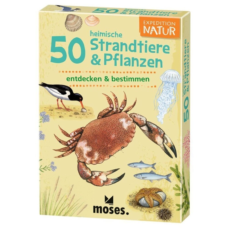 50 heimische Strandtiere & Pflanzen entdecken & bestimmen von moses Verlag