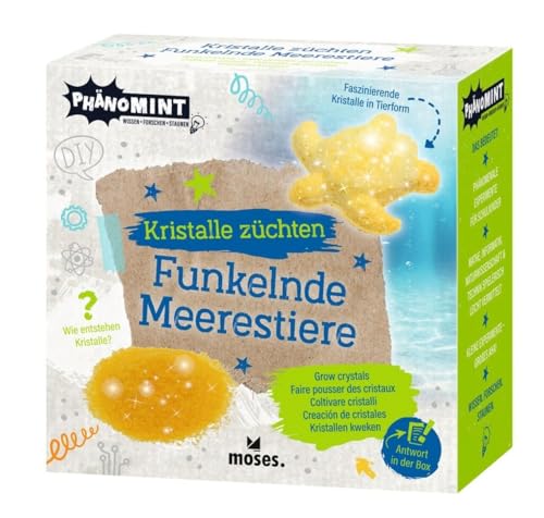 moses Verlag Funkelnde KRISTALLTI PHAENOMINT moses Verlag Funkelnde KRISTALLTI PHAENOMINT von moses Verlag