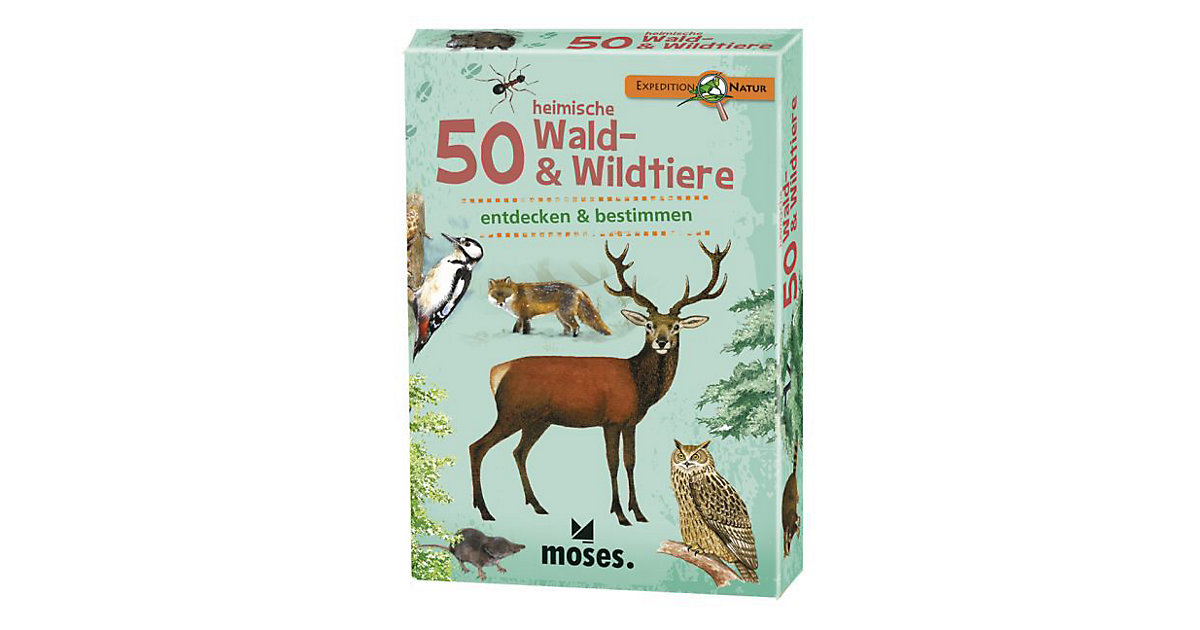 Buch - Expedition Natur: 50 heimische Wald- & Wildtiere entdecken & bestimmen von moses. Verlag
