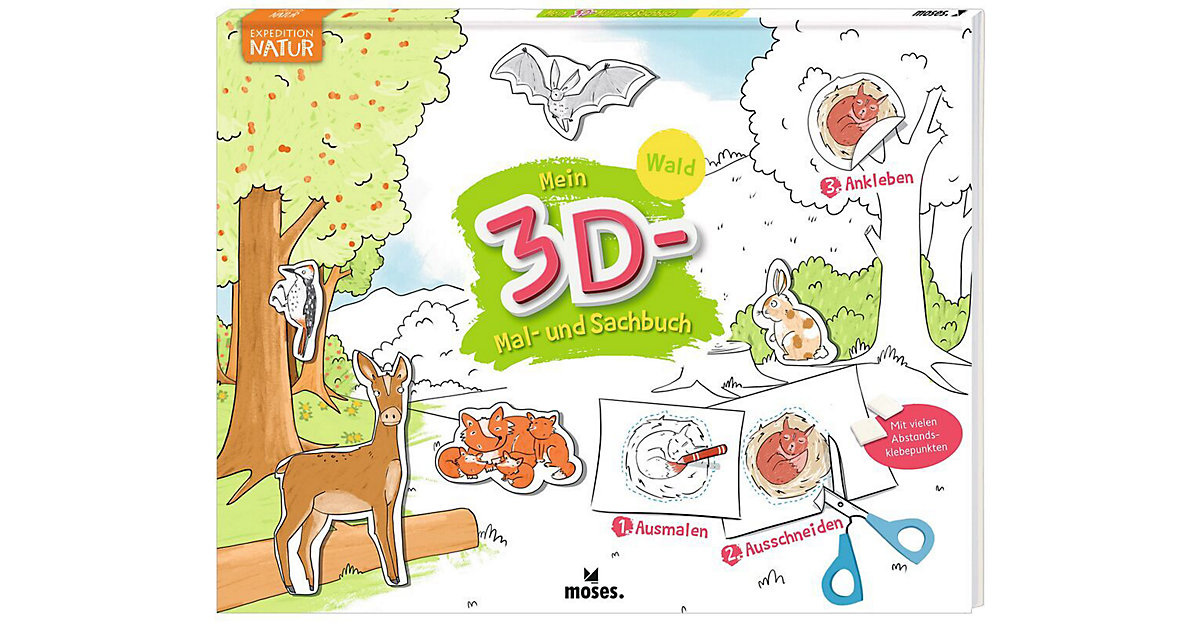 Buch - Mein 3D Mal- und Sachbuch - Wald Buch - Mein 3D Mal- und Sachbuch - Wald von moses. Verlag