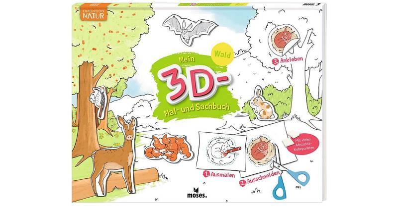 Buch - Mein 3D Mal- und Sachbuch - Wald von moses. Verlag