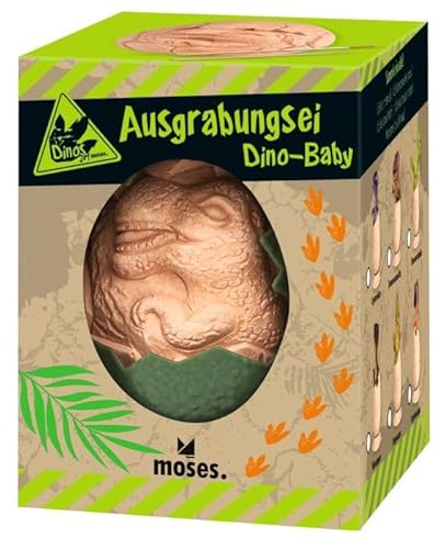 moses Verlag AUSGRABUNGSEI Dino-B Baby von moses