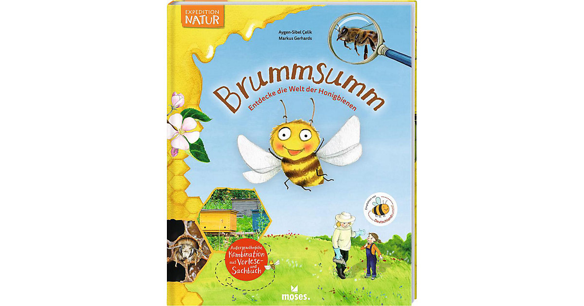 Buch - Brummsumm Buch - Brummsumm von moses. Verlag