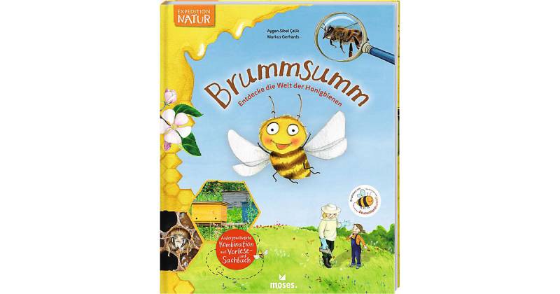 Buch - Brummsumm von moses. Verlag