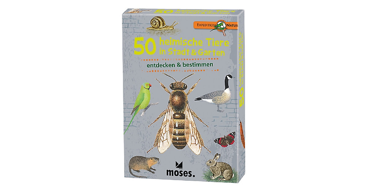 Buch - Expedition Natur: 50 heimische Tiere in Stadt & Garten von moses. Verlag