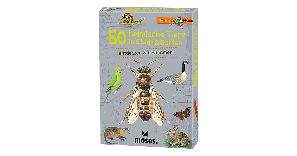 Buch - Expedition Natur: 50 heimische Tiere in Stadt & Garten Buch - Expedition Natur: 50 heimische Tiere in Stadt & Garten von moses. Verlag