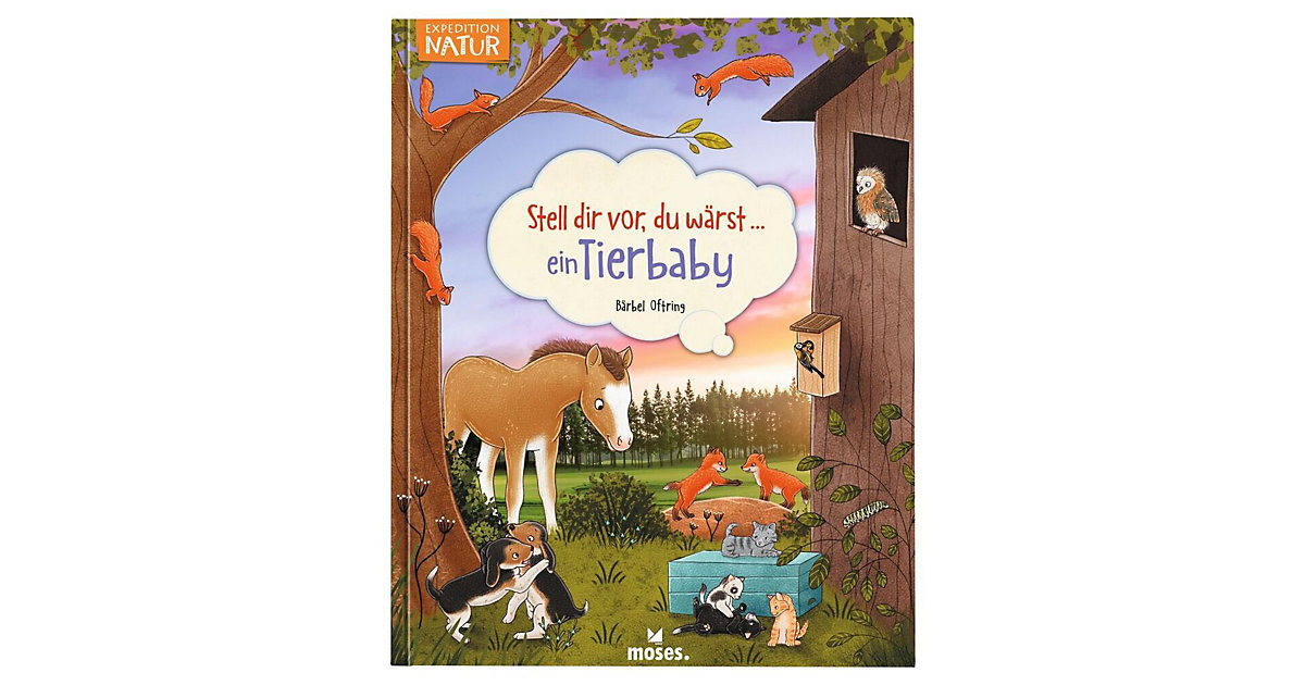 Buch - Stell dir vor, du wärst...ein Tierbaby Buch - Stell dir vor, du wärst...ein Tierbaby von moses. Verlag