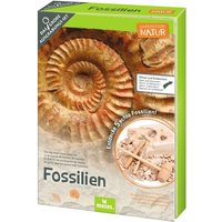 MOSES. VERLAG 009832 Expedition Natur Das große Fossilien-Ausgrabungs-Set von moses