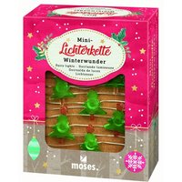 MOSES. VERLAG 16815 Mini-Lichterkette Winterwunder, sortiert von moses