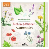 MOSES. VERLAG 51924 Blüten & Blätter sammeln MOSES. VERLAG 51924 Blüten & Blätter sammeln von moses