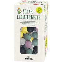 MOSES. VERLAG 87144 Blatt & Blüte Solarlichterkette von moses