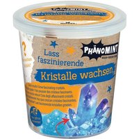 Moses. - PhänoMINT Kristalle züchten von moses
