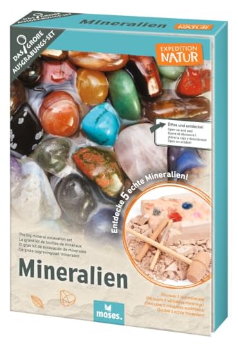 moses. Expedition Natur Das große Mineralien-Ausgrabungs-Set, Gipsblock mit 5 echten Mineralien, Ausgrabungsset inklusive Ausgrabungswerkzeug, Lupe, Aufbewahrungsbeutel und Kette mit Anhänger moses. Expedition Natur Das große Mineralien-Ausgrabungs-Set, Gipsblock mit 5 echten Mineralien, Ausgrabungsset inklusive Ausgrabungswerkzeug, Lupe, Aufbewahrungsbeutel und Kette mit Anhänger von moses