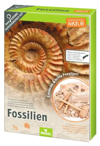 moses. Expedition Natur Das große Fossilien-Ausgrabungs-Set, Gipsblock mit 5 echten Fossilien, Ausgrabungsset inklusive Ausgrabungswerkzeug, Lupe und Aufbewahrungsbeutel von moses