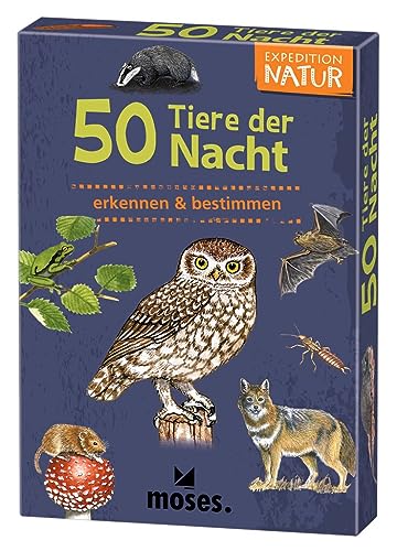 moses. 4033477098658 Expedition Natur: 50, Nacht-& dämmerungsaktive erkennen und bestimmen, Kartenset für Kinder ab 6 Jahren, mit spannenden Quizfragen rund um beliebte nachtaktive Tiere, White, Large von moses