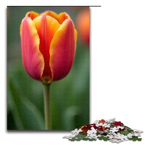 1000 Teile für Erwachsene und Kinder von Jigsaw Tulip Puzzles für Erwachsene Holzpuzzle 1000 PCS (75x50cm) von mowenbingpeng