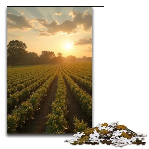 1000 Teile für Erwachsene und Kinder von Jigsaw. Wunderschöne Sonnenblumen-Puzzles für Erwachsene. Holzpuzzle 1000 PCS (75 x 50 cm) von mowenbingpeng