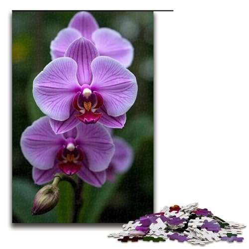 1000-teiliges Puzzle Orchideen-Puzzle für Erwachsene Holzpuzzle Familienspiel 1000 Teile (75 x 50 cm) von mowenbingpeng