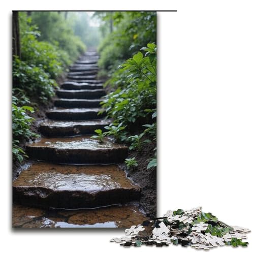 1000-teiliges Puzzle Wet Stone Steps Puzzle für Erwachsene und Kinder Holzpuzzle pädagogisches Spielzeug zum Stressabbau Puzzle 1000 Teile (38 x 26 cm) von mowenbingpeng