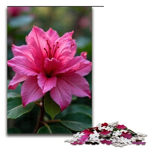 1000-teiliges Puzzle für Erwachsene Azalea-Puzzles für Erwachsene Holzpuzzle anspruchsvolles Spiel 1000 Teile (75 x 50 cm) von mowenbingpeng