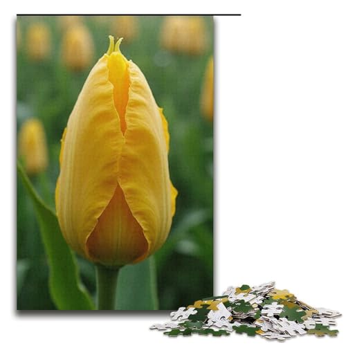 1000-teiliges Puzzle für Erwachsene Bloom-Puzzles für Erwachsene Holzpuzzle anspruchsvolles Spiel 1000 Teile (38 x 26 cm) von mowenbingpeng