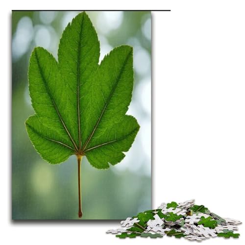 1000-teiliges Puzzle mit Bergahornblättern für Erwachsene unmögliches Puzzle zum Stressabbau für Teenager ab 14 Jahren 1000 Teile (75 x 50 cm) von mowenbingpeng